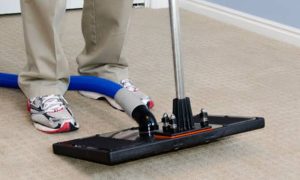 Carpet Cleaners Christchurch NZ
